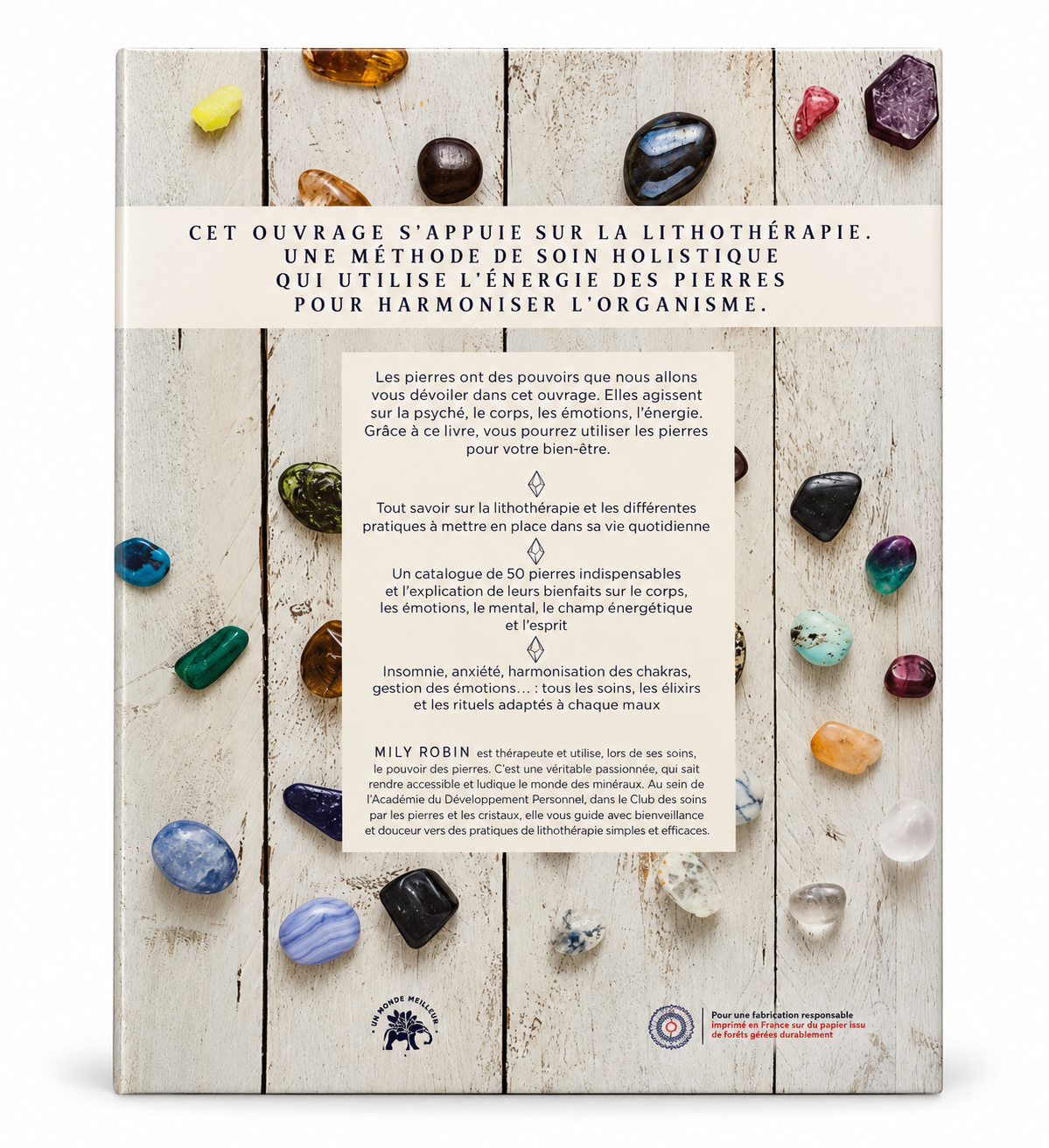 Verso de Le grand livre des pierres et des cristaux de Mily Robin sur fond blanc, étiquette de prix retirée