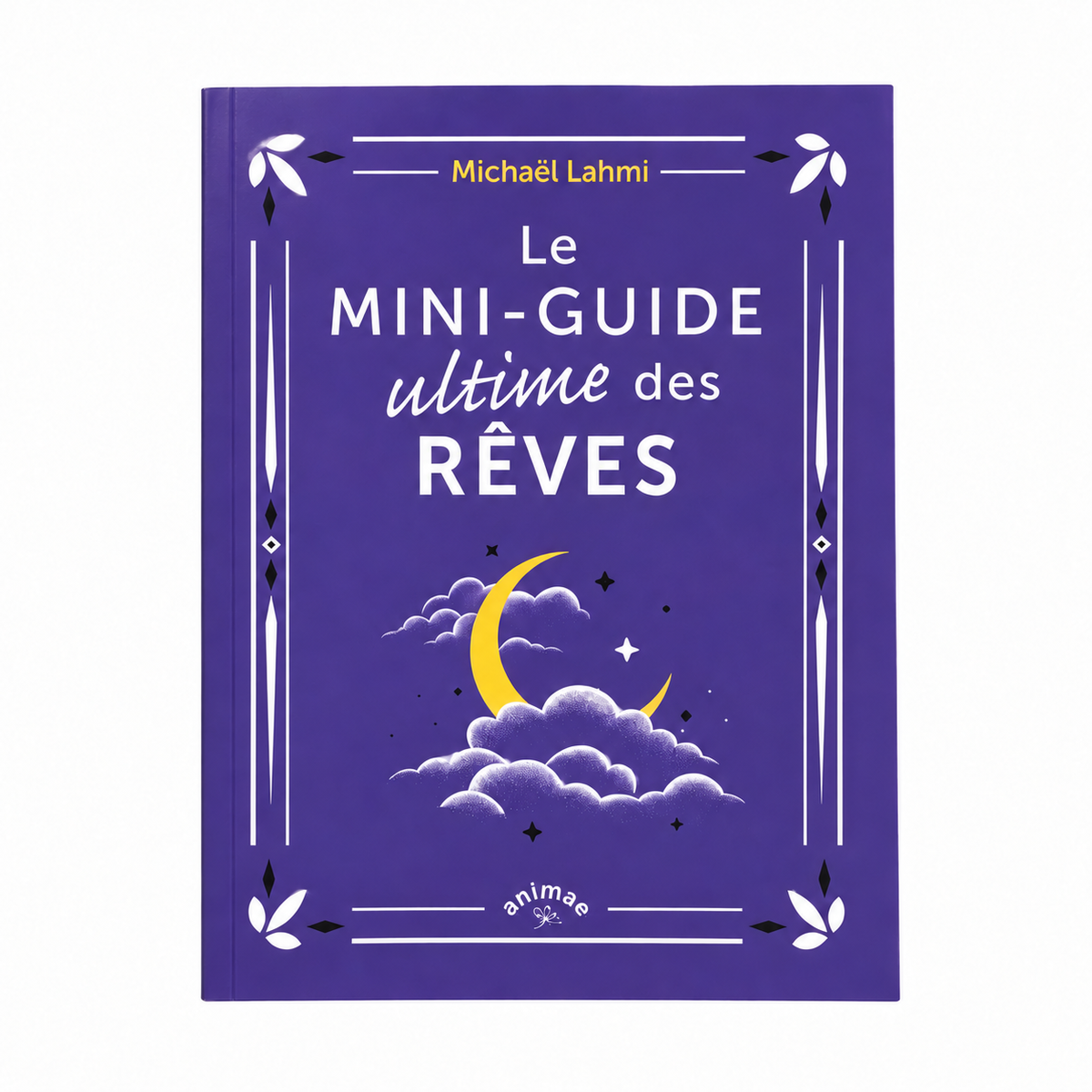 Couverture sans étiquette du Mini-guide ultime des rêves sur fond blanc