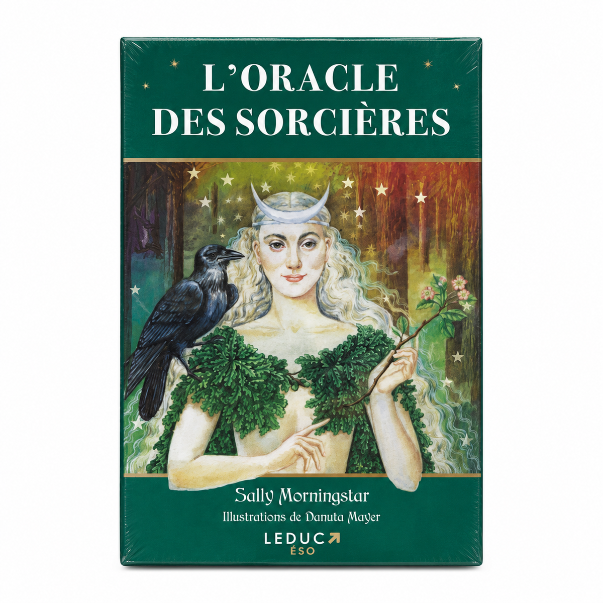 L’Oracle des sorcières Sally Morningstar – recto sur fond blanc